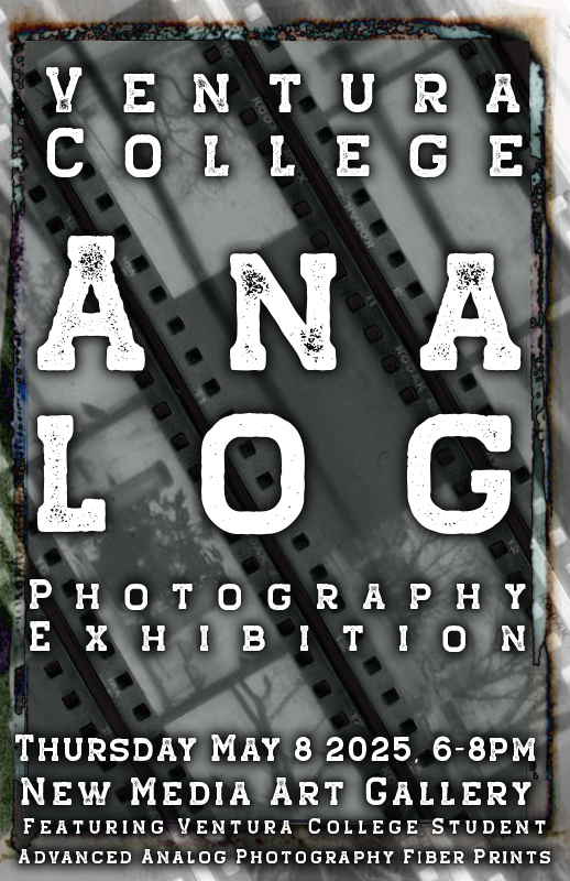 spring 2025 analog show poster